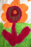 Waiheke Special Needs Group